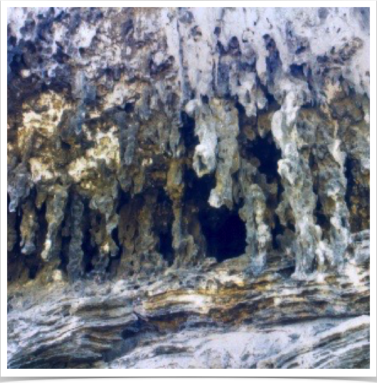 Aruba's Quadiriki Caves - located at the base of a limestone cliff. They contain Amerindian petroglyphs.